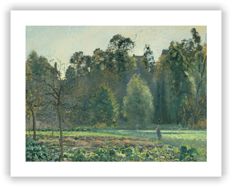 Campo de coles, Pontoise