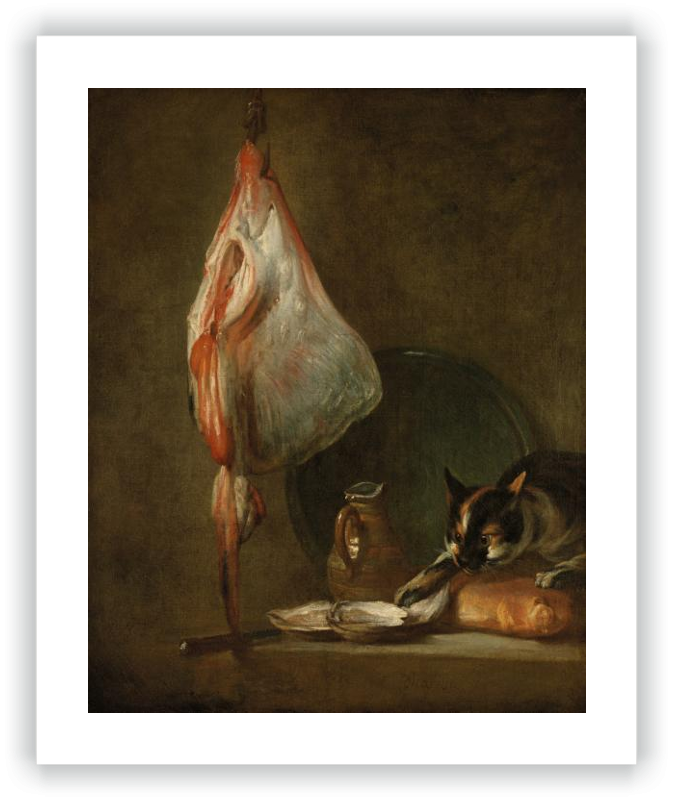 Still life with cat and ray (