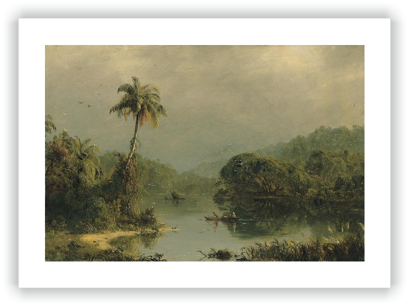 Paisaje tropical