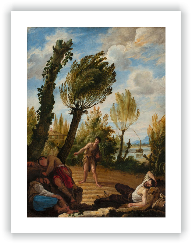 La parábola de la cizaña