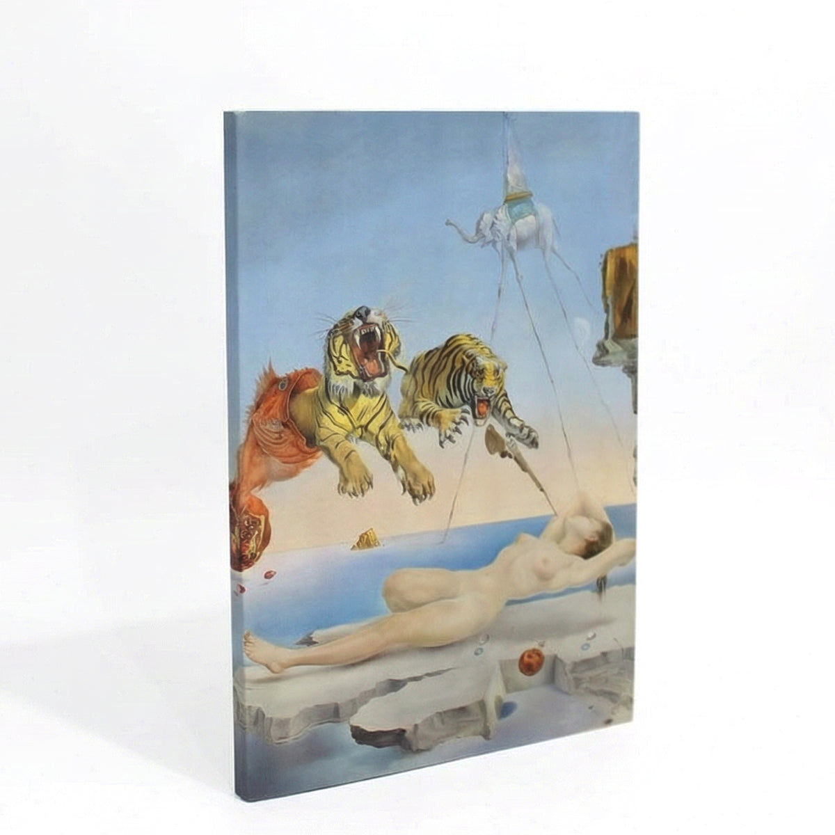
                  
                    Cuaderno lomo Un segundo antes... Dalí
                  
                
