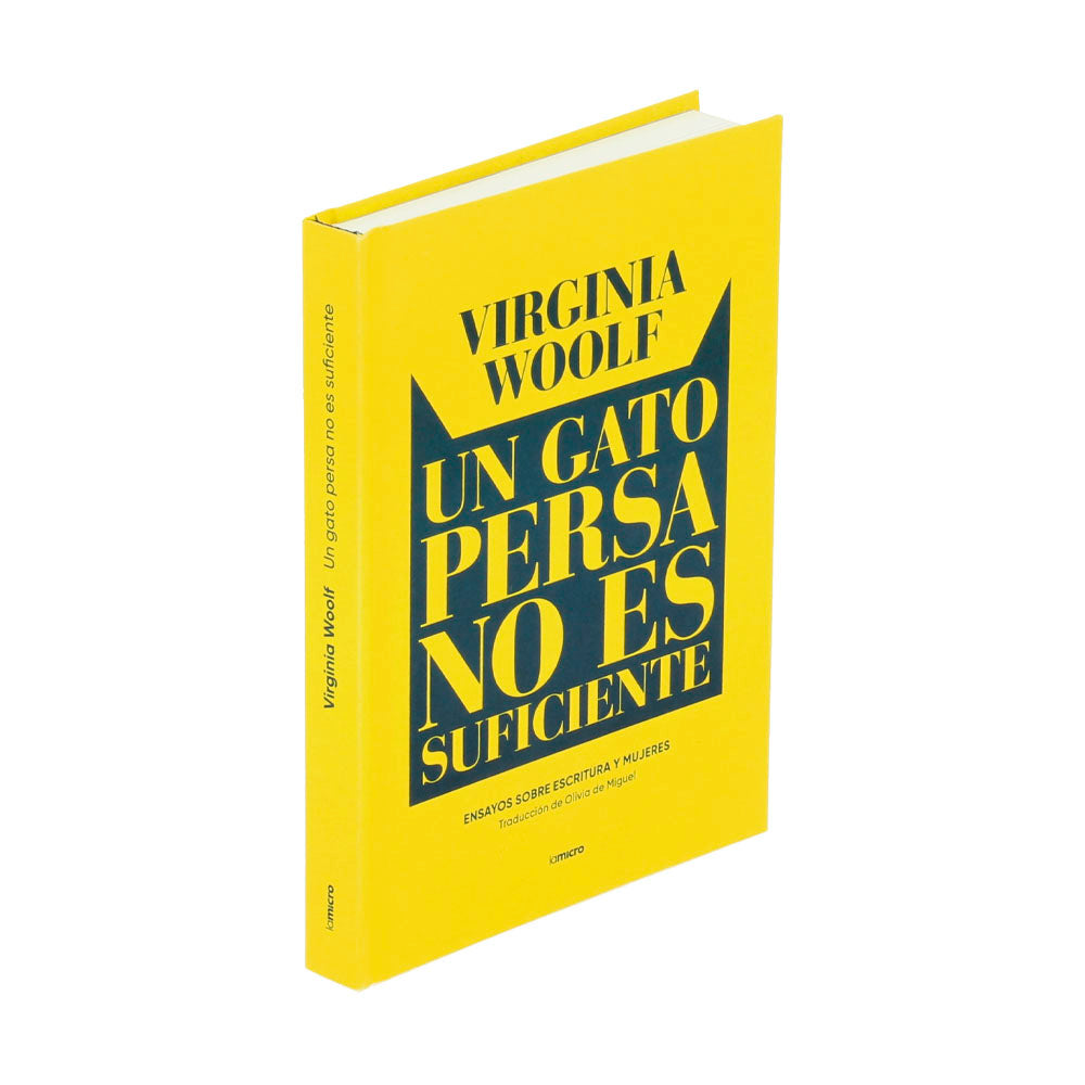 UN GATO PERSA NO ES SUFICIENTE. ENSAYOS SOBRE ESCRITURA Y MUJERES