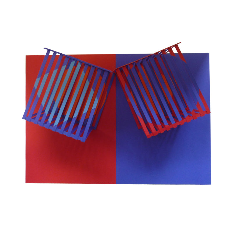 
                  
                    Pop-Up Op Art Vasarely
                  
                