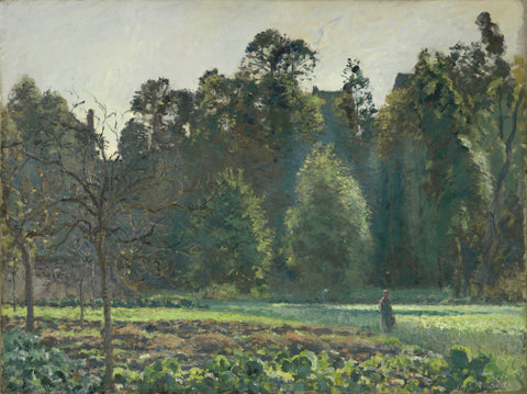 Cabbage field, Pontoise