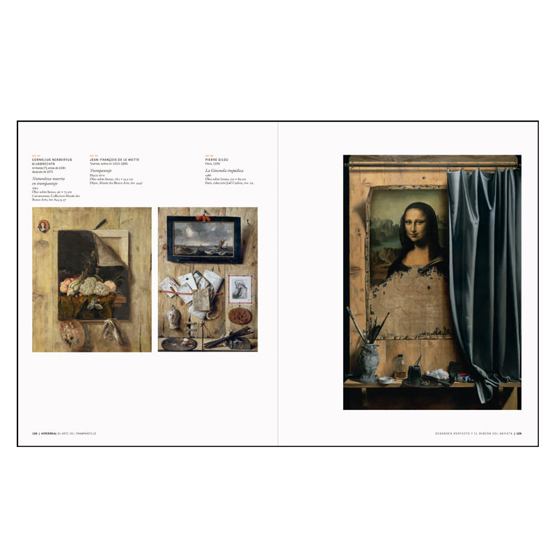 
                  
                    Hyperreal Catalogue. The art of trompe l'oeil
                  
                