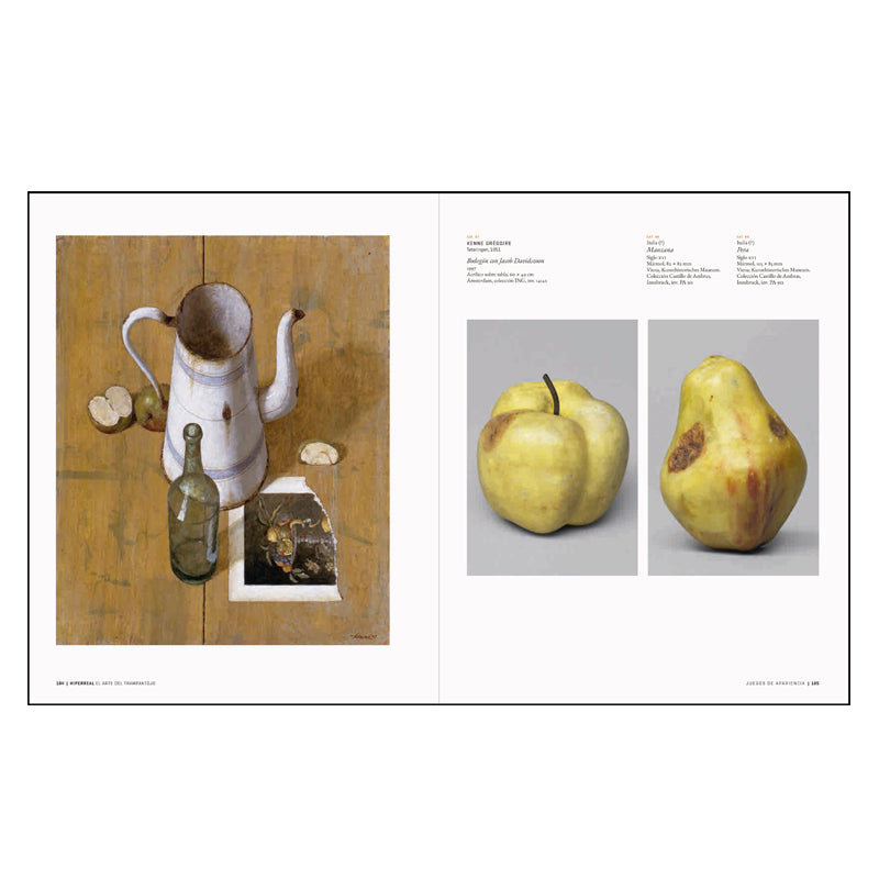 
                  
                    Hyperreal Catalogue. The art of trompe l'oeil
                  
                