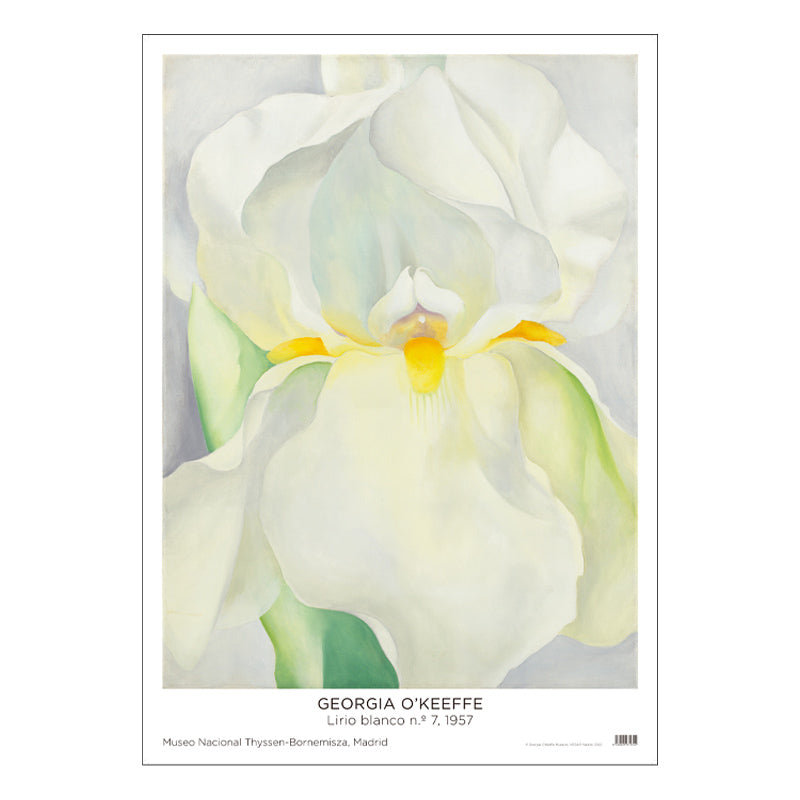 Póster Georgia O'Keeffe: Lirio blanco Nº7